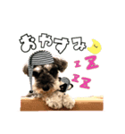 ジャックのつぶやき…時々モップ（個別スタンプ：7）