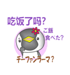 中国のペンギンちゃん（個別スタンプ：5）