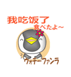 中国のペンギンちゃん（個別スタンプ：6）