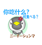 中国のペンギンちゃん（個別スタンプ：11）