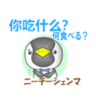 中国のペンギンくん（個別スタンプ：11）