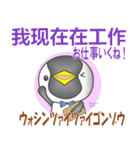 中国のペンギンくん（個別スタンプ：14）