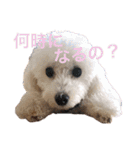 けんとそら（個別スタンプ：4）