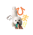 けんとそら（個別スタンプ：5）