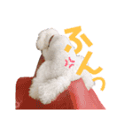 けんとそら（個別スタンプ：6）
