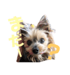 けんとそら（個別スタンプ：7）