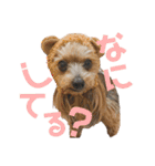 けんとそら（個別スタンプ：9）