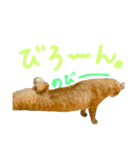 はくとんスタンプ2（個別スタンプ：11）
