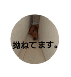 ダックスさんたちの日常3（個別スタンプ：11）