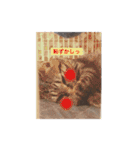 にゃんコスタンプ（個別スタンプ：7）