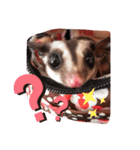 ☆フクロモモンガ☆Sugar glider☆1（個別スタンプ：2）