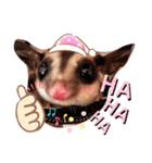 ☆フクロモモンガ☆Sugar glider☆1（個別スタンプ：8）