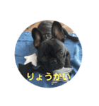 コロ助なりよ！ 2（個別スタンプ：3）