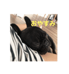 コロ助なりよ！ 2（個別スタンプ：6）