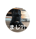 コロ助なりよ！ 2（個別スタンプ：11）