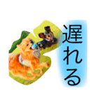 azuma家のイッヌ（個別スタンプ：5）