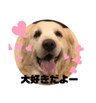 我が家のダンボ2（個別スタンプ：14）