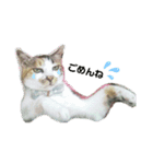ねこのウリ（個別スタンプ：7）