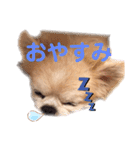 まんまるチョコたん（個別スタンプ：2）