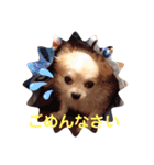 まんまるチョコたん（個別スタンプ：4）