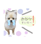 おとちゃんゆずちゃん（個別スタンプ：3）