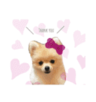 おとちゃんゆずちゃん（個別スタンプ：8）