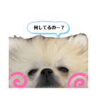 おとちゃんゆずちゃん（個別スタンプ：16）