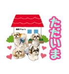 シーズー★和菓子family（個別スタンプ：9）