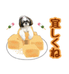 シーズー★和菓子family（個別スタンプ：17）
