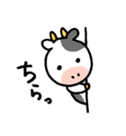 普段使える！かわいい牛のも～ちゃん（個別スタンプ：12）