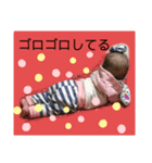ちびっこめんこちゃん2（個別スタンプ：8）