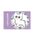記号猫白猫ちゃん2（個別スタンプ：1）