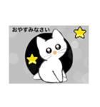 記号猫白猫ちゃん2（個別スタンプ：6）