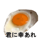 食べ物の写真 日本語 ver3（個別スタンプ：26）
