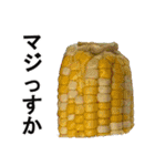 食べ物の写真 日本語 ver3（個別スタンプ：28）