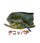 堤防  シイラ（個別スタンプ：7）