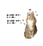 わが家のお猫様とお犬様（個別スタンプ：18）
