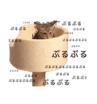 RINTARO 5-2（個別スタンプ：22）