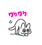 ポジティブネコスタンプ（個別スタンプ：24）