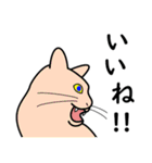 たんたんねこ（個別スタンプ：3）