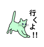たんたんねこ（個別スタンプ：4）
