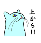 たんたんねこ（個別スタンプ：5）
