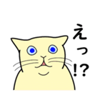 たんたんねこ（個別スタンプ：7）