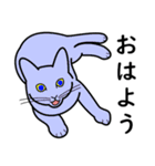 たんたんねこ（個別スタンプ：9）