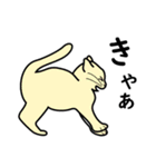 たんたんねこ（個別スタンプ：11）