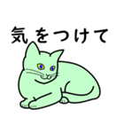 たんたんねこ（個別スタンプ：12）
