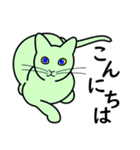 たんたんねこ（個別スタンプ：16）