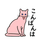たんたんねこ（個別スタンプ：17）