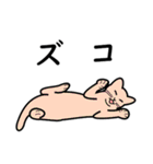 たんたんねこ（個別スタンプ：20）