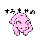 たんたんねこ（個別スタンプ：21）